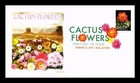 DR JIM STAMPS US COVER CACTUS FLOWERS FDC PICTORIAL CANCEL PANDA CACHET