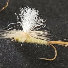 PARACHUTE PALE EVENING DUN SIZE 12 FISHING FLIES PED FRONTIER FLY COMPANY