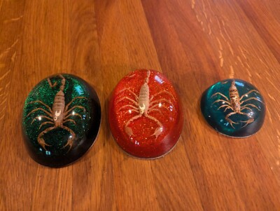 Scorpion Red Green Sparkle Paperweight Preserved Resin Acrylic Epoxy 3 Piece NEW