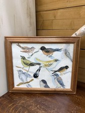 Framed Watercolor Bird Study   Vintage Bokar  Wall Art   Songbirds illustration