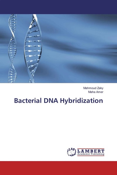 Mahmoud Zaky (U. A.) | Bacterial DNA Hybridization | Taschenbuch | Englisch-image