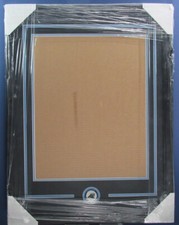 Carolina Panthers Vertical 16"x20" Photo DIY NEW Frame Kit 188692