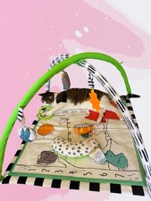 Unisex 7-in-1 Baby Play Gym  Tummy Time Mat with Hanging Toys   Padded