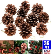 12-36PCS Christmas Natural Pine Cones Rustic Pinecones Bulk Ornaments with Rope