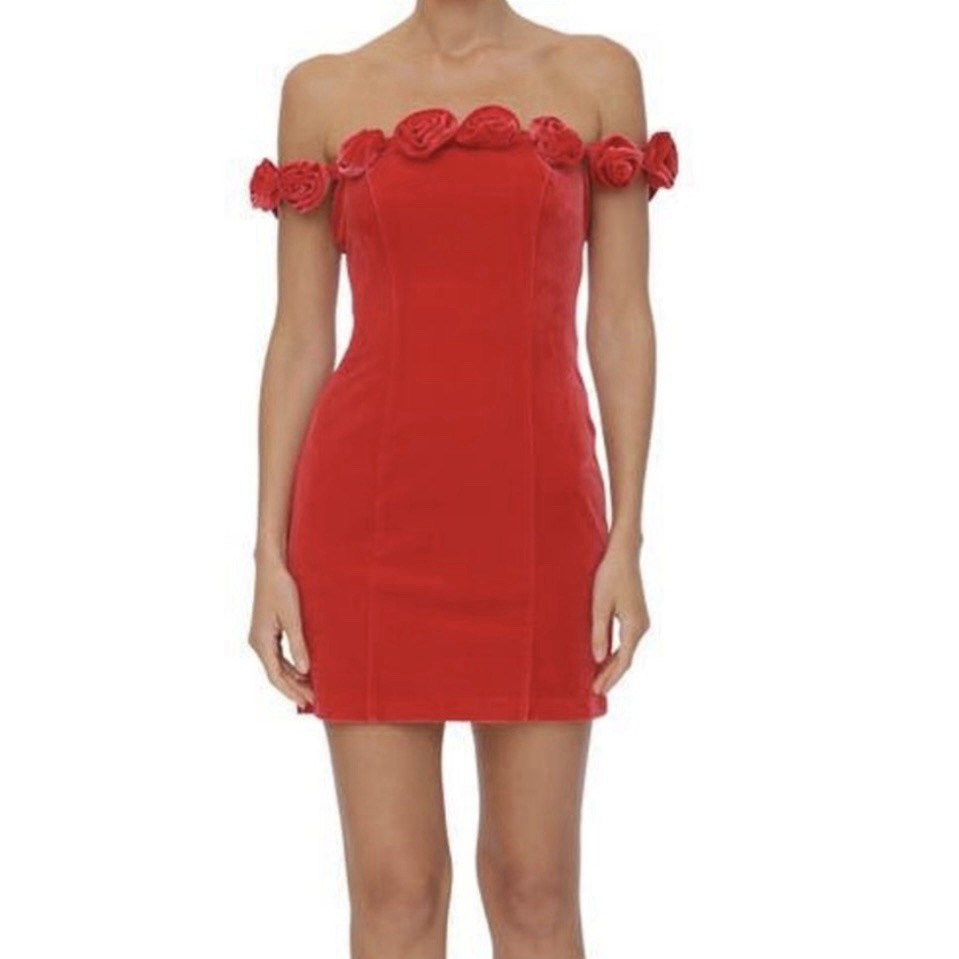Avec Les Filles Red Velvet Rose Appliqué Mini Dress - Size 12