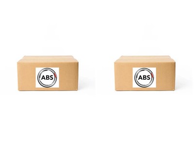 2x Flexible Bremsleitungen A.B.S. HINTEN L+R für ABARTH, ALFA ROMEO 500E