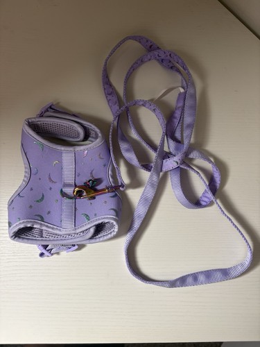 Purple Kitten Harness and Leash Set and Star Pattern