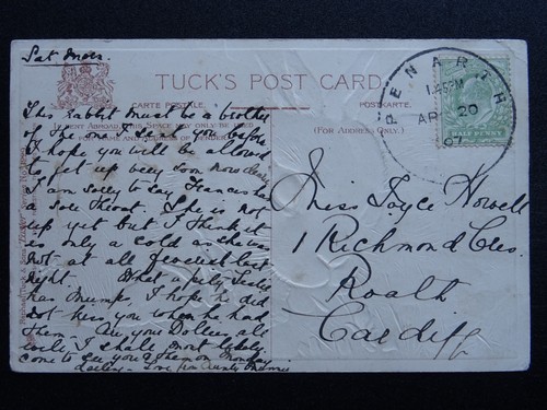 Easter Greetings WHITE RABBIT c1907 Embossed Postcard by Raphael Tuck 1229 - Picture 3 of 3