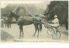 Hippismus N°35962 Herzegowina Bucht 1913 Pferde Sulky Ergänzung Zu Frankreich C