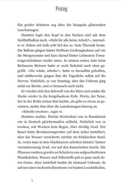 Thumbnail - Fränkisches Chili, Susanne Reiche