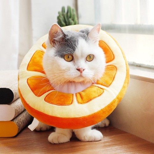 Cat Recovery Collar Cute Wound Protector Cone Collar for Small Pets Adjustable - Picture 13 of 15