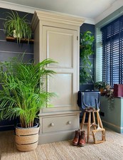 Coat Cupboard, Hallway Storage, Solid Pine Wardrobe, Armoire, Tall Cupboard.