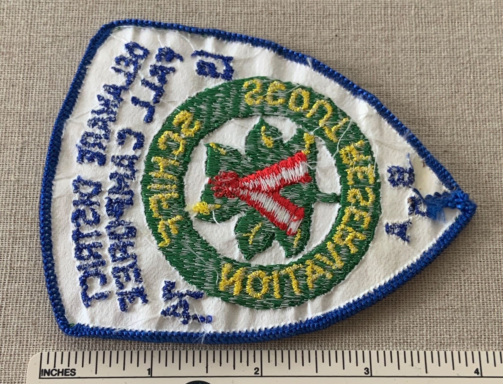 Vintage 1974 DELAWARE DISTRICT Boy Scout Camporee PATCH Schiff