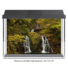 River Water Fall Forest Fish Tank Glass Back Drop Aquarium Back Ground New #044