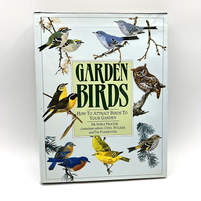 How to Attract Birds to Garden: Easy Tips for a Vibrant Sanctuary
