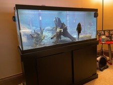 75 gallon aquarium fish tank and filter