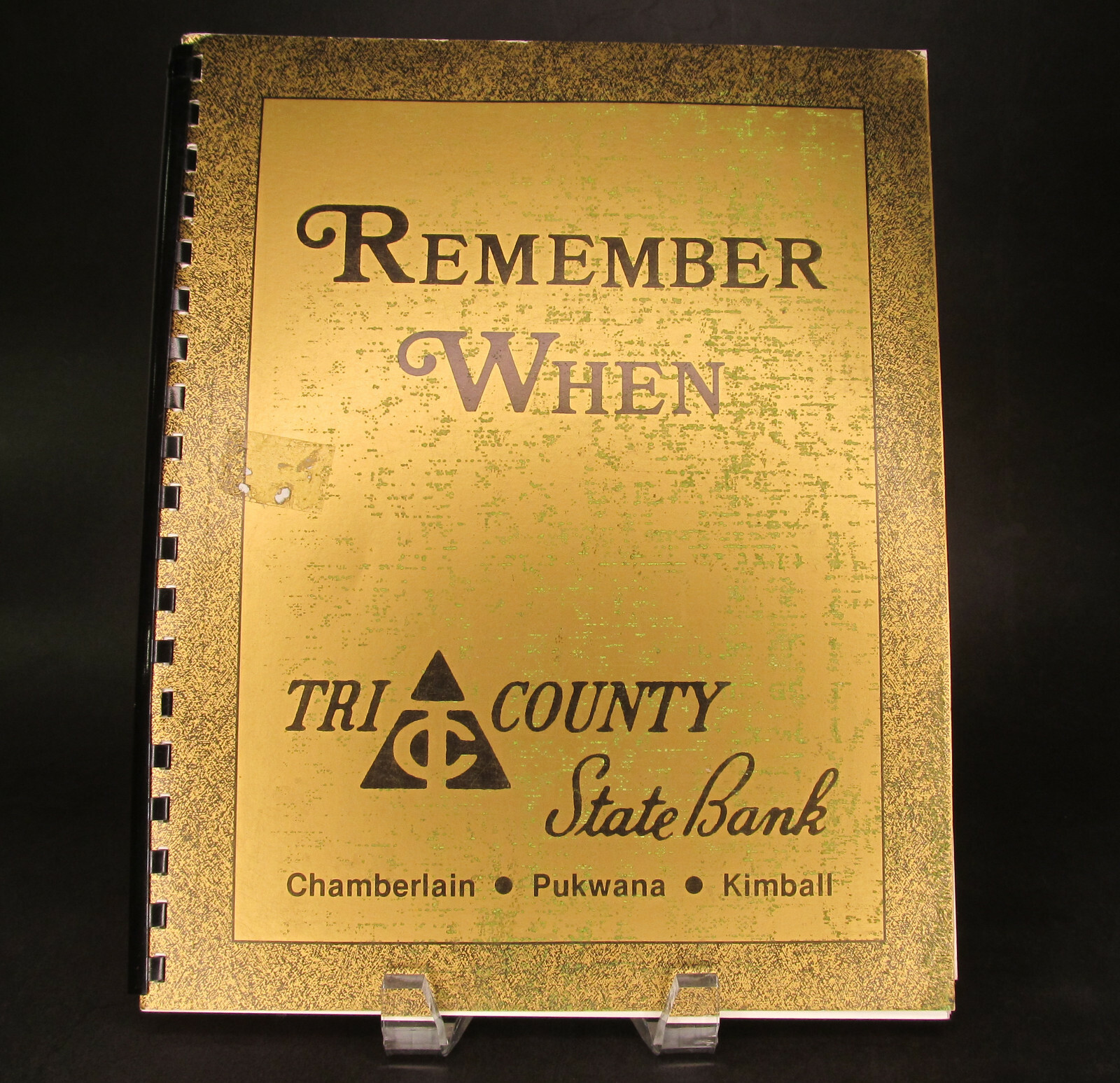 Book, Remember When History of Chamberlain, Pukwana, Kimball, South Dakota SD eBay