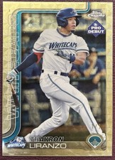 Thayron Liranzo 2025 Topps Pro Debut 1/1 Superfractor DET Tigers, Whitecaps