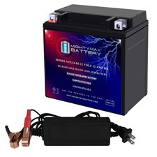 Mighty Max YTX14-BS Battery Compatible with UTV, 4 Wheeler  12V 2Amp Charger