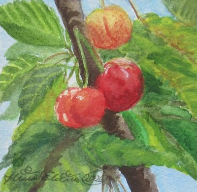 Cherries, Cherry tree, 4x4 inch mini painting, framed, plein air watercolor art