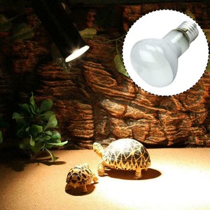 uv light bulb for tortoise