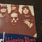 Picture 4 of 12