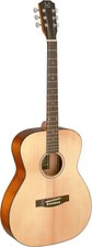 6 String Acoustic Guitar (bes-a N)