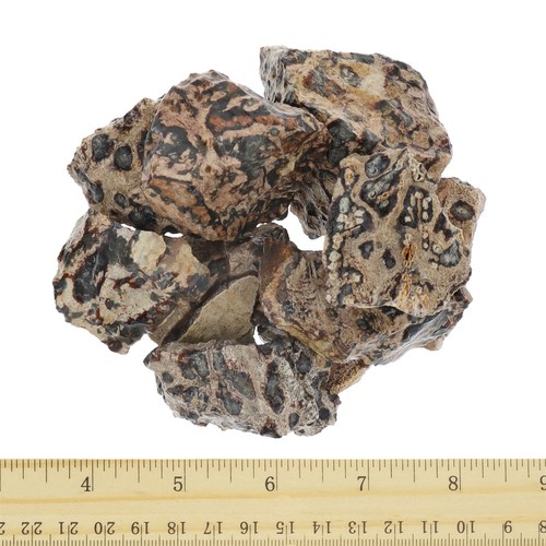 Jaspe animal - rocas ásperas para caer - mineral de cristal de piedra al por mayor (mex) - Imagen 32 de 40