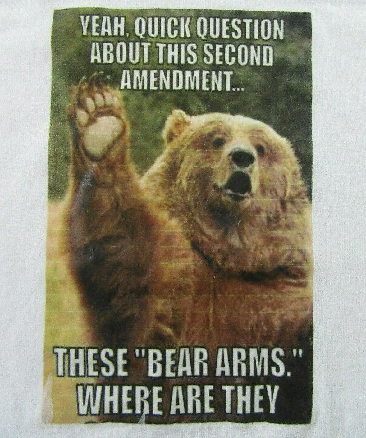 Second Amendment 2nd Amendment Rights Funny "BEAR… - image 1