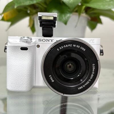 Sony Alpha A6000 SLR Digital Camera W/16-50mm Zoom