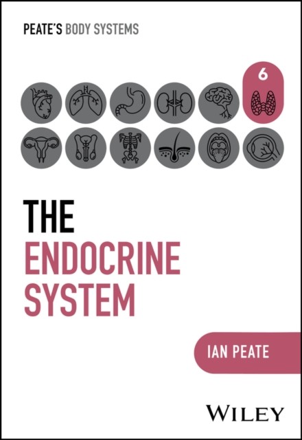 The Endocrine System by Ian  Peate (Paperback Book)