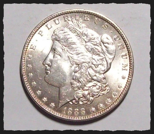 1888-P MORGAN DOLLAR  Light Toning Well Struck Choice to Vchoice BU  #25C72