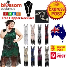 Deluxe Ladies 20s 1920s Roaring Flapper Costume Sequins Gatsby 20's Fancy Dress