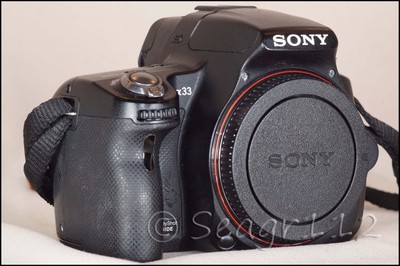 Sony Alpha A33 14.2MP Digital SLT Camera Body - Mint Minus/23k
