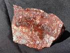 LEOPARD SKULL ORBICULAR JASPER STRIKING UN POLISHED ROUGH 40 GRAMS — photo 8