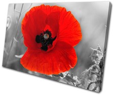 Floral Poppy Field Flowers SINGLE CANVAS WALL ART Picture Print VA