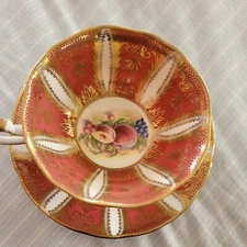PARAGON Fancy STILL LIFE FRUIT CUP & SAUCER Pink Panels Gold Filigree rare mcm