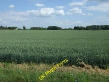 Photo 6x4 Crop field off Bad Gate Manor Hill Corner  c2015