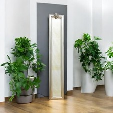 Elegant Silver Wall Mirror Slim & Stylish 109cm x 13cm Modern Home Décor Accent