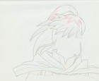 The Twelve Kingdoms Juuni Kokki Genga Douga Original Sketches Pierrot - Youko — photo 5