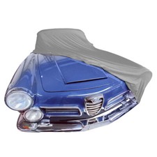  BMW 2600 for Sale