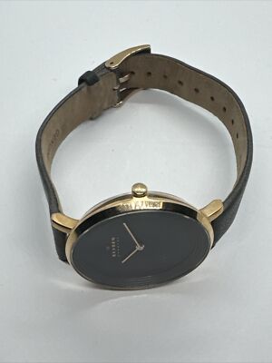 Skagen Ditte SKW2216 Women\'s Gray Leather Analog Dial Quartz Wrist Watch JNA1000 Skagen Ancher 40mm Titanium Grey Dial Quartz | Mercari main image 4