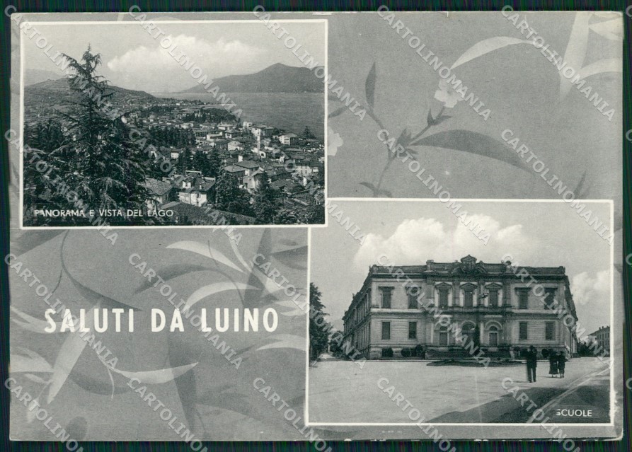 Varese Luino Saluti da Foto FG cartolina ZK4842