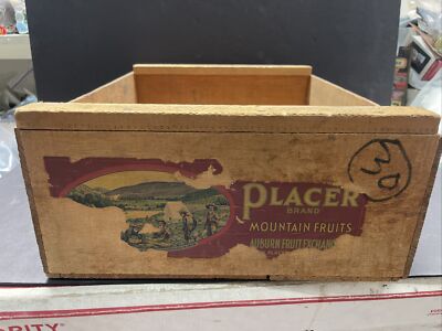 Fruit Crate Placer Brand Wooden Box California Fruit Exchange Stamp 17x6.5x14