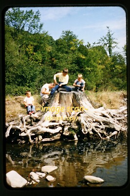 People on Tree Stump River Fishing West US mid 1950s Kodachrome Slide aa 29-26b