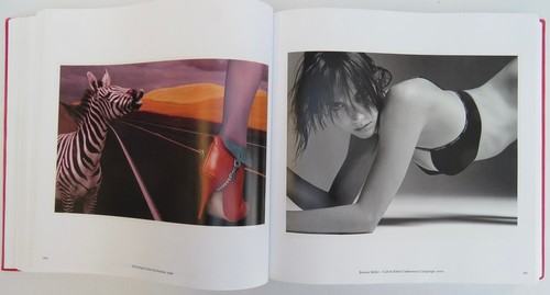 PRETTY MUCH EVERYTHING, INEZ VAN LAMSWEERDE & VINOODH MATADIN, 2014 704p COFFRET - Photo 13/24