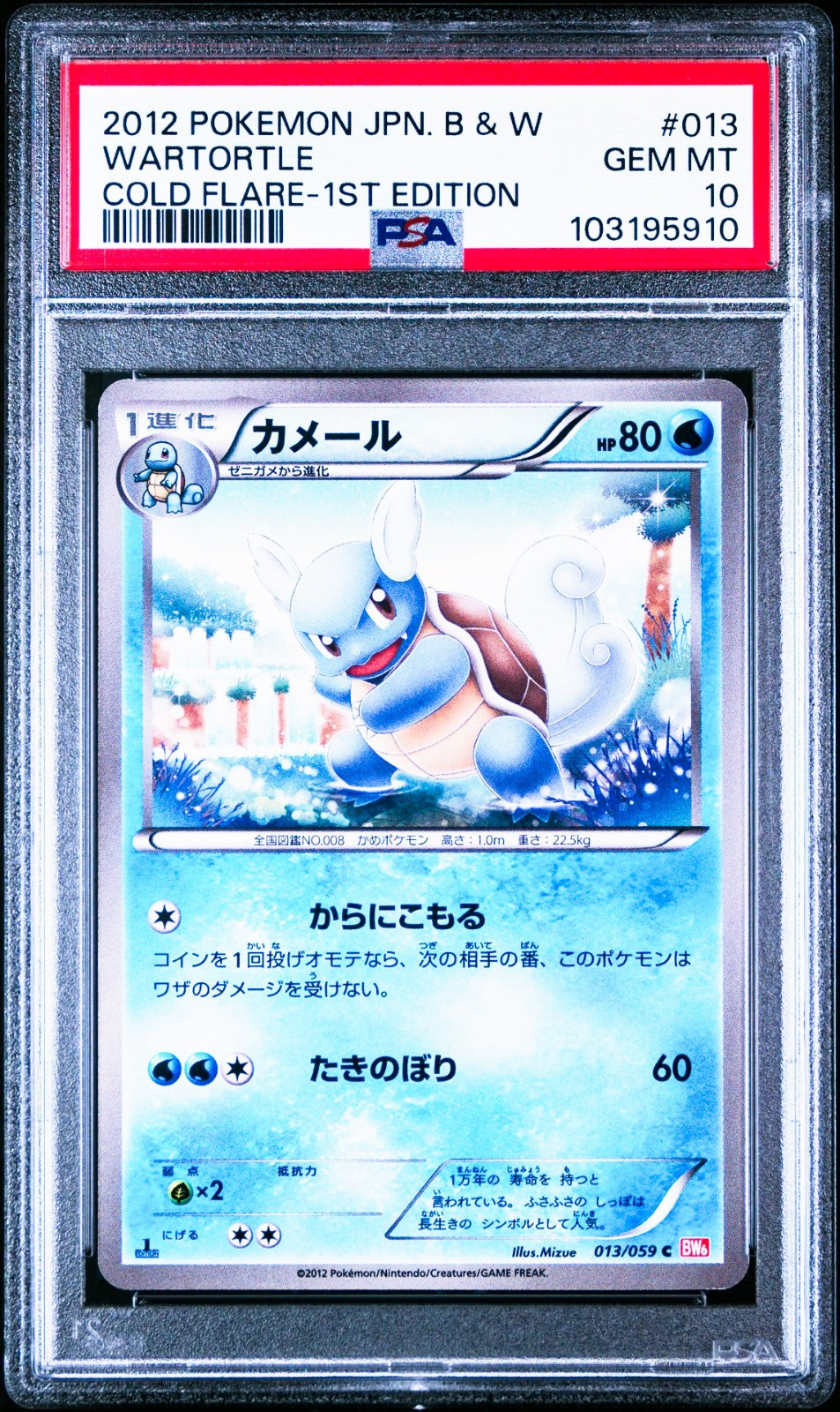 Wartortle 013/059 Pokemon Cold Flare 1st ED Japanese PSA 10 Gem Mint
