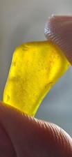 SEA GLASS  UV YELLOW  UV YELLOW  UV YELLOW  VERY FROSTED UV TAIL LIGHT       