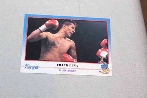 1991 Kayo Boxing Card Complete Finish Fill Your List Set U-Pick - Picture 403 of 468