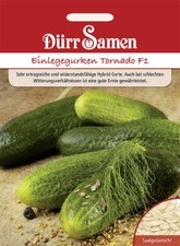 Einlegegurken Tornado F1 Gurken Samen von Dürr Samen zum Einlegen ca 25 Korn